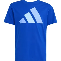 adidas - Kid's Bold Tee 160 - T-Shirt^Kinder Fitnessbekleidung|T-Shirts