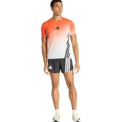adidas Terrex - XPR Pro Light Shorts - Laufshorts^ Laufbekleidung|Hosen
