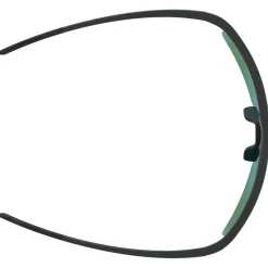Alpina - Eagle Q-Lite S2 - Sonnenbrille^ Wanderbekleidung|Fahrradbrillen
