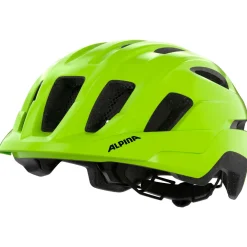 - Paranus - Radhelm><noscript><img width=