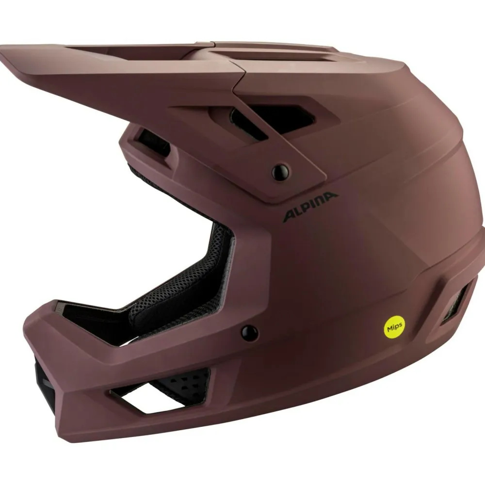 Alpina - Pikes Mips - Radhelm