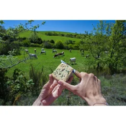 Best Baladéo - Terroir - Messer Messer