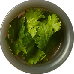 black+blum - Original Lunchbox - Essensaufbewahrung