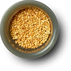 black+blum - Original Lunchbox - Essensaufbewahrung