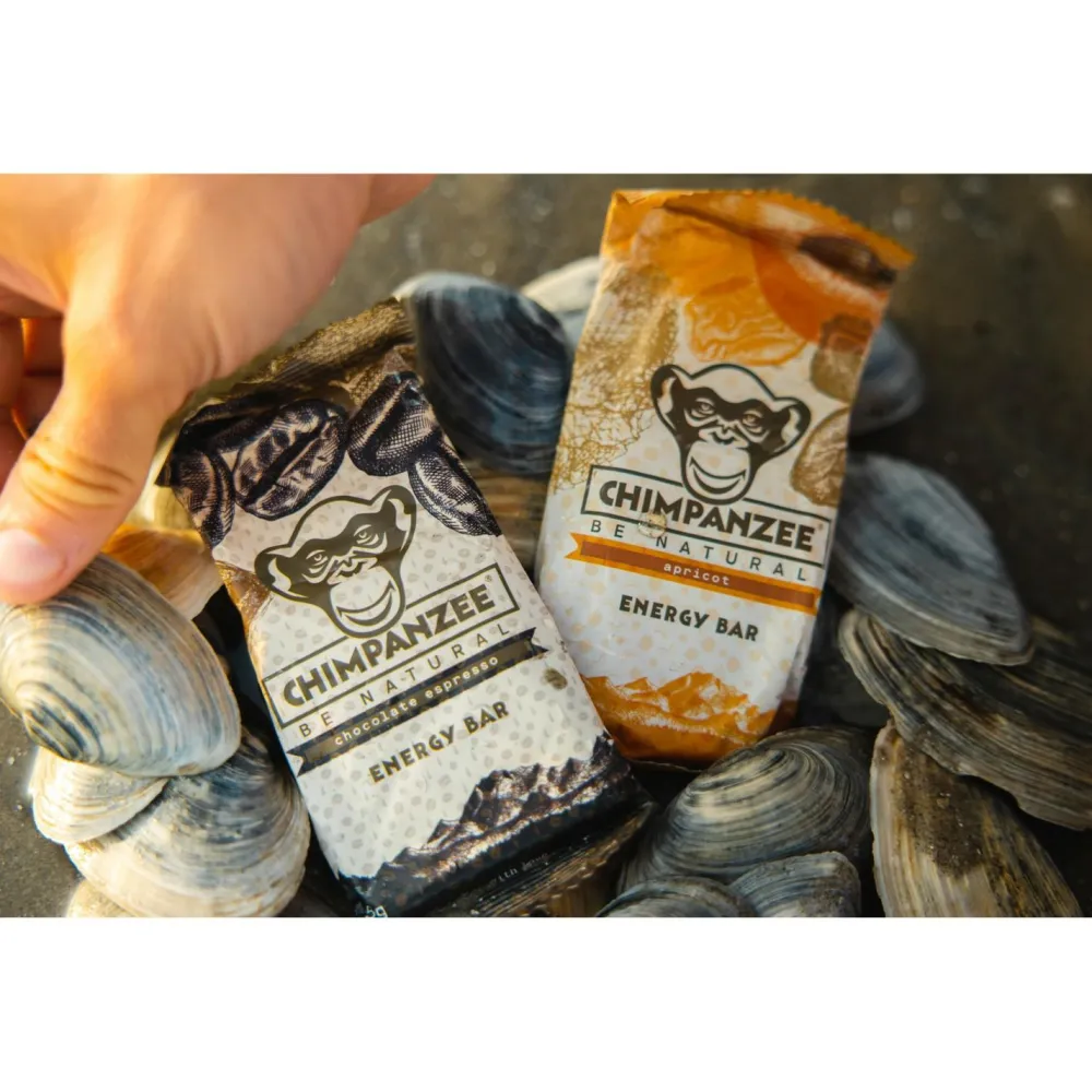 Chimpanzee - Energy Bar Vegan Crunchy Erdnuss - Energieriegel^ Riegel|Outdoor Lebensmittel