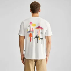 Online - T-Shirt Stockholm Color Mushrooms - T-Shirt T-Shirts|Shirts, Hemden & Longsleeves