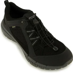 Ecco - Terracruise II GTX - Multisportschuhe^ Freizeitschuhe|Multisportschuhe