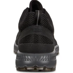 New - Women's Terracruise II GTX - Multisportschuhe Freizeitschuhe|Multisportschuhe