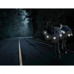 EuroSchirm - Birdiepal Octagon - Regenschirm^ Trekkingausrüstung