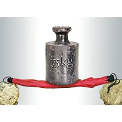 Discount - Birdiepal Outdoor - Regenschirm Trekkingausrüstung