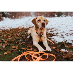 Hunter - Suchleine Convenience - Hundeleine