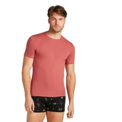 - Anatomica S/S Crewe - Merinounterwäsche>Icebreaker Discount