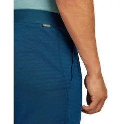 Icebreaker - Merino Blend 300 Realfleece Descender Jogger - Trainingshose^ Fitnessbekleidung|Hosen