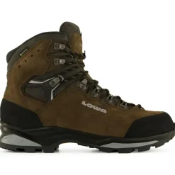 - Camino Evo GTX - Wanderschuhe>Lowa Hot