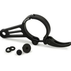 - Betty R Schnellspanner>Lupine Online