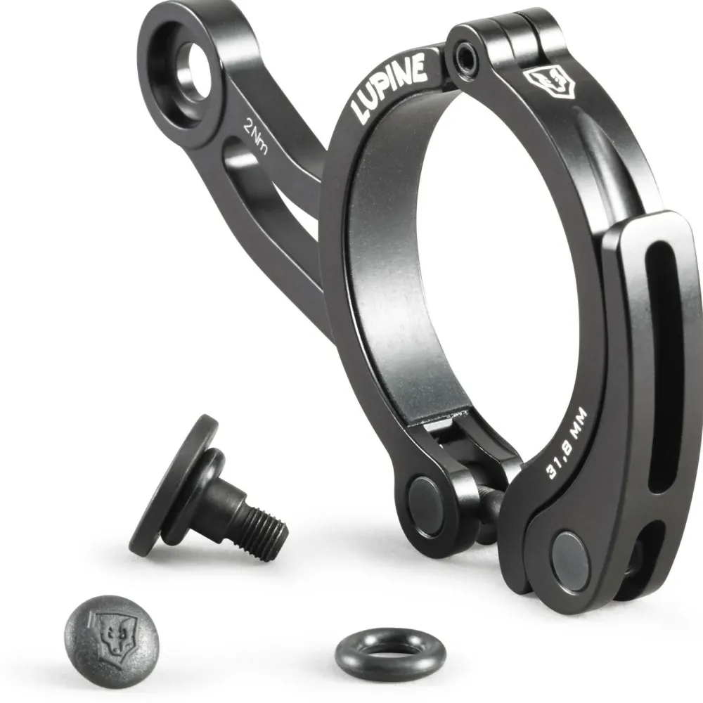 - Wilma Schnellspanner>Lupine Sale