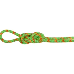 Mammut - 8.0 Alpine Core Protect Dry Rope - Halbseil