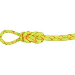 New - 9.5 Alpine Core Protect Dry Rope - Einfachseil Einfachseile