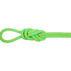 - 8.0 Alpine Dry Rope - Halbseil>Mammut Discount
