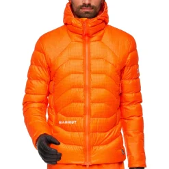 - Eiger Nordwand Light Down Insulation Hooded Jacket - Daunenjacke>Mammut Sale