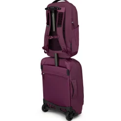 Osprey - Ozone Laptop Backpack 18 - Daypack^ Daypacks|Daypacks