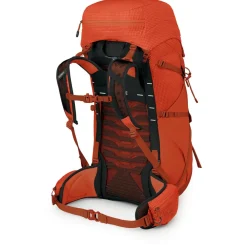 Osprey - Talon Pro 40 - Wanderrucksack