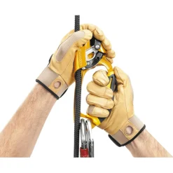 - Ascension - Steigklemme><noscript><img width=