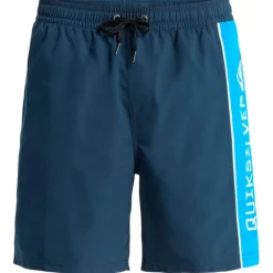Quiksilver - Everyday Clicker Volley 17'' - Badehose^ Bademode