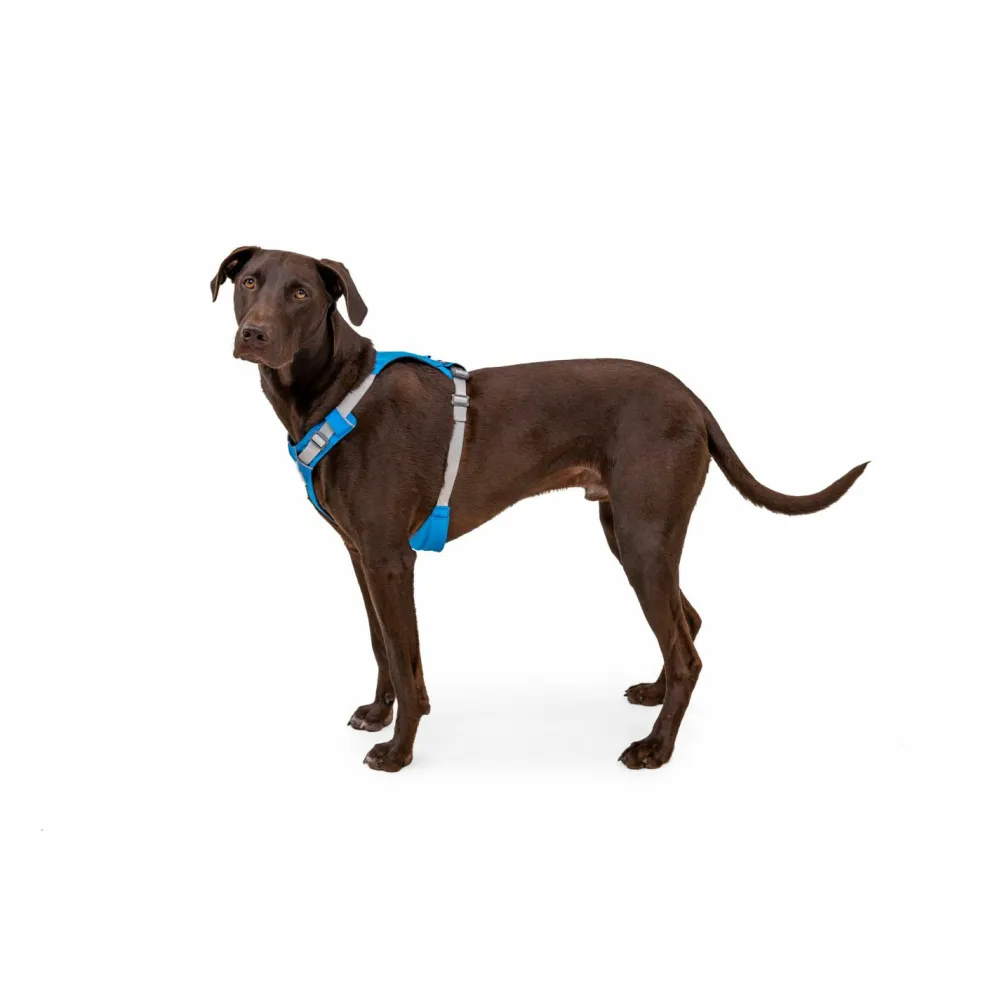 Ruffwear - Hi & Light Harness - Hundegeschirr^ Hundegeschirr