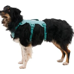 Ruffwear - Web Master Harness - Hundegeschirr