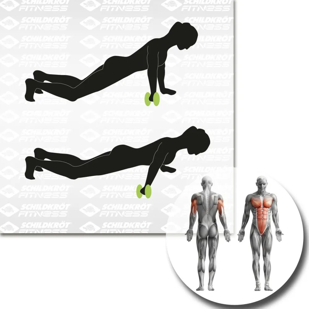 Schildkru00f6t Fitness Schildkröt Fitness - Dual-Core-Wheels - Functional Training