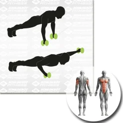 Schildkru00f6t Fitness Schildkröt Fitness - Dual-Core-Wheels - Functional Training