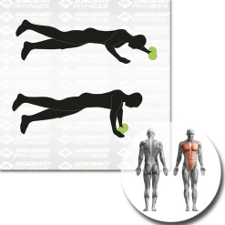 Schildkru00f6t Fitness Schildkröt Fitness - Dual-Core-Wheels - Functional Training