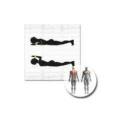Schildkru00f6t Fitness Schildkröt Fitness - Gewichtsmanschette