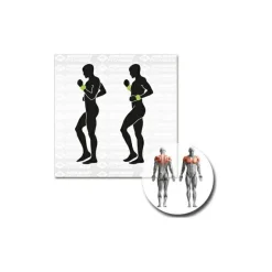 Schildkru00f6t Fitness Schildkröt Fitness - Gewichtsmanschette