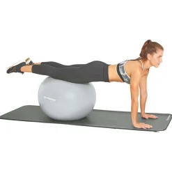 Schildkru00f6t Fitness Schildkröt Fitness - Gymnastikball - Functional Training