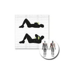 Schildkru00f6t Fitness Schildkröt Fitness - Kurz-Hantelset^ Fitness-Ausrüstung|Trainingsgeräte