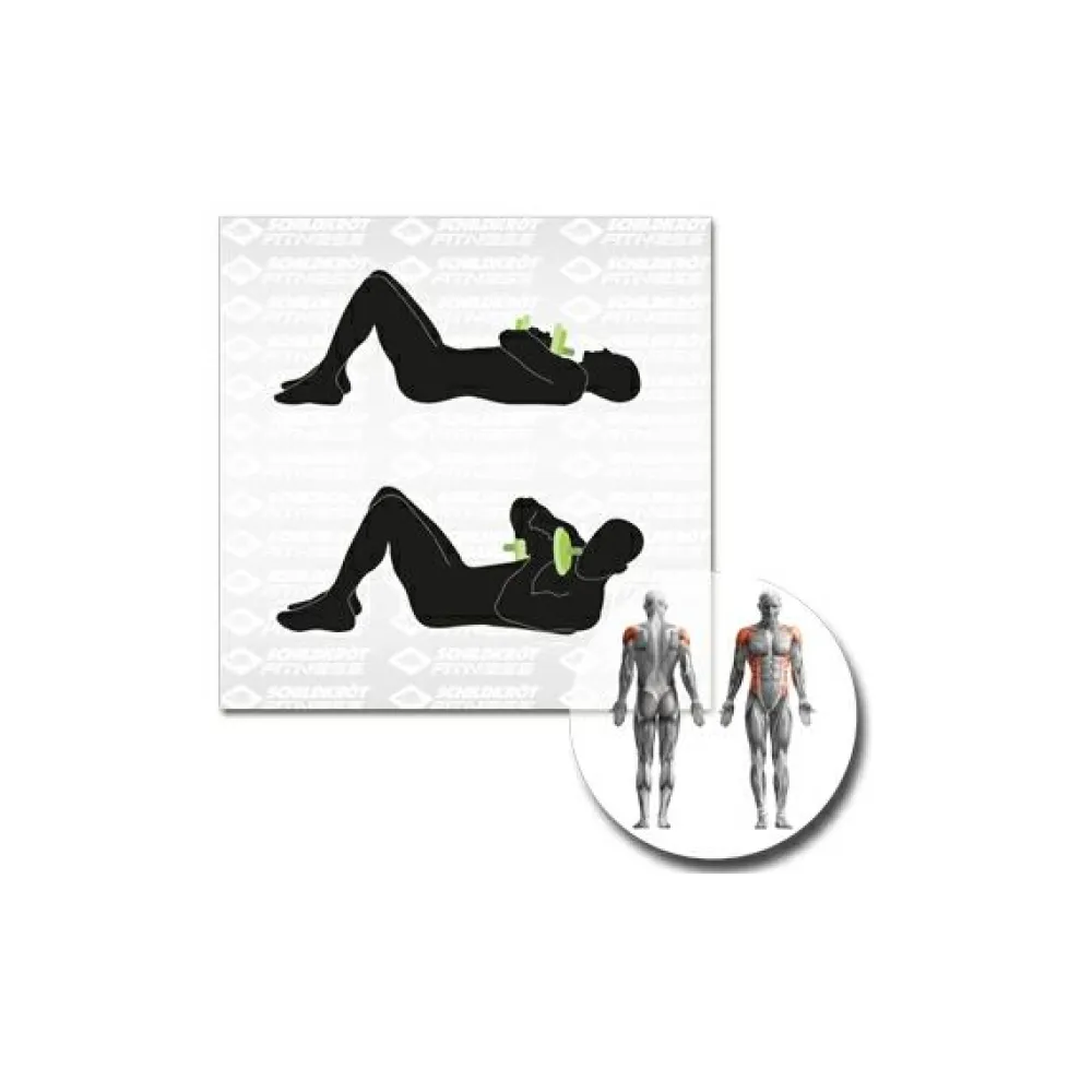 Schildkru00f6t Fitness Schildkröt Fitness - Kurz-Hantelset^ Fitness-Ausrüstung|Trainingsgeräte