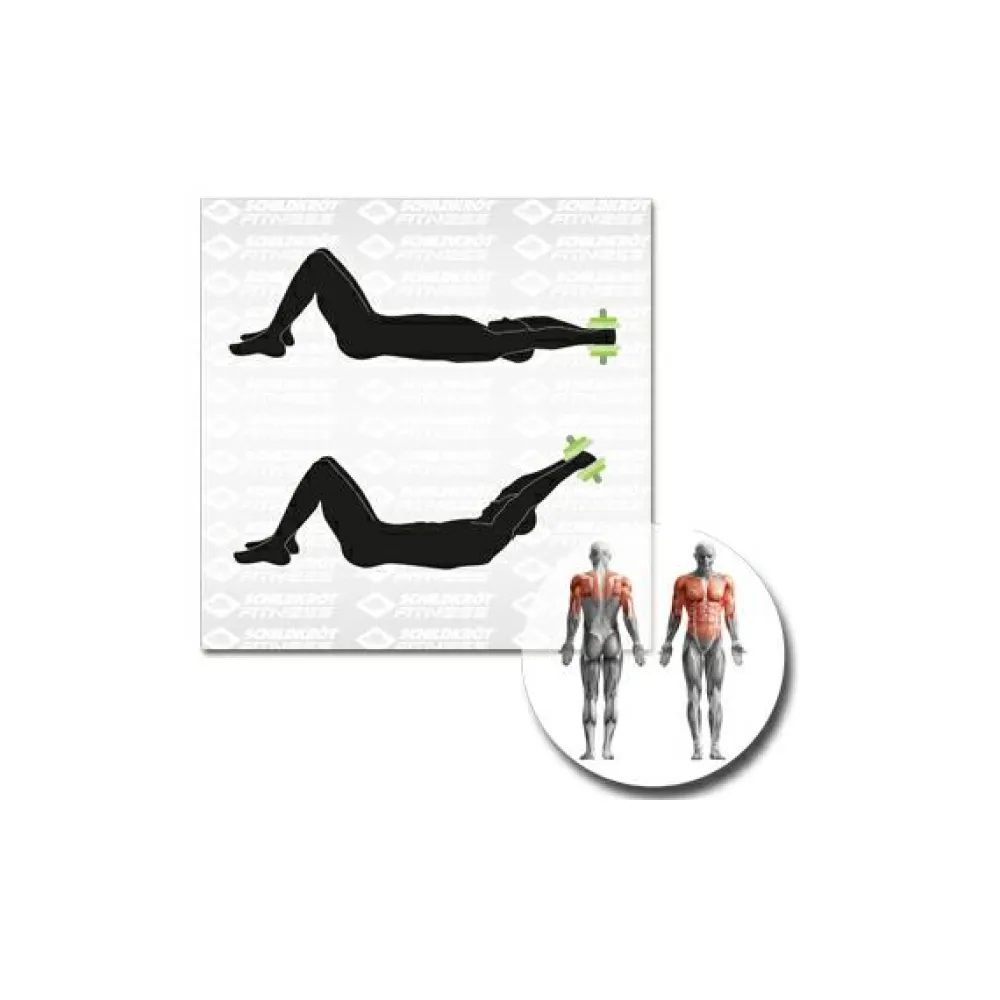 Schildkru00f6t Fitness Schildkröt Fitness - Kurz-Hantelset^ Fitness-Ausrüstung|Trainingsgeräte