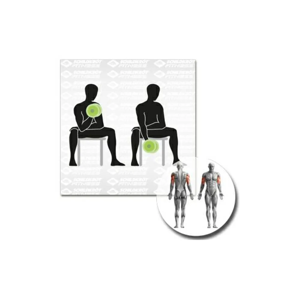 Schildkru00f6t Fitness Schildkröt Fitness - Kurz-Hantelset^ Fitness-Ausrüstung|Trainingsgeräte