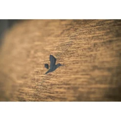 - Peak Langarmshirt - Longsleeve><noscript><img width=