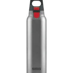 - Hot & Cold One - Isolierflasche>SIGG