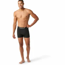 Best - Boxer Brief Boxed - Merinounterwäsche Wanderbekleidung|Merinounterwäsche