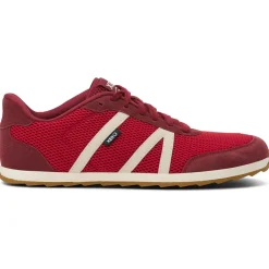 - Wynn - Barfußschuhe><noscript><img width=